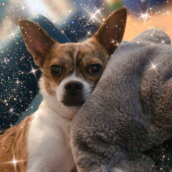 Meet your Posher, July - Picture 1 of 1